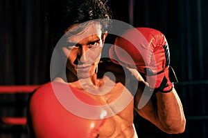 Muay Thai boxer punch his fist in front of camera posing. Impetus