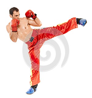 Muay thai trainer executing a kick