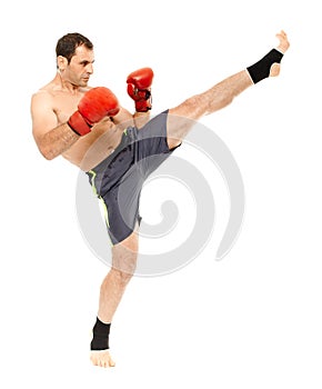 Muay thai trainer executing a kick