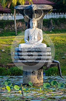 Mucalinda who snake-like being Protected Gautama Buddha from the elements after the enlightenment,