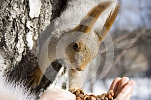 So much appetizing nuts!