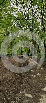 Budshead Wood is a Local Nature Reserve located in the north-west of Plymouth immediately east of Ernesettle photo