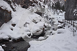 The river flows slowly, among the snow in the canyon