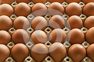 Much Eggs in egg carton packaging