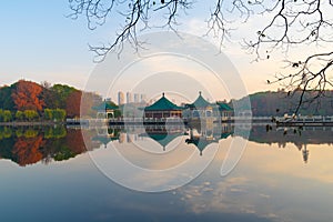 Wuhan East Lake Scenic Spot scenery in autumn photo