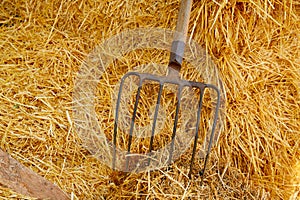 Muck fork stable tool on straw bale photo