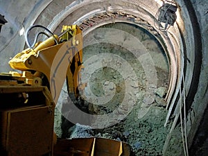 mucking out activity