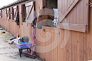 Mucking Out Wheelbarrow.