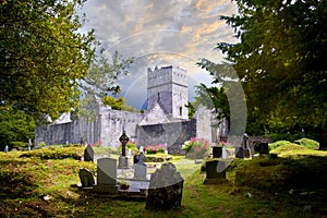 Muckross Abbey in Ireland photo