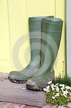 Mucky wellington boots