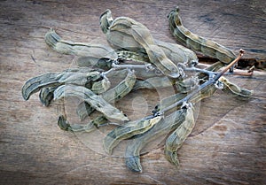 Mucuna Pruriens on wooden background, dry bean Mucuna Pruriens