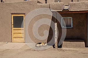 Mud adobe pueblo building in American southwest with new wooden door and dog asleep outisde - dramatic shadows and turquoise