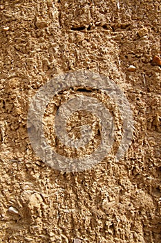 Mud Adobe wall texture
