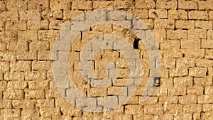 Mud Adobe wall texture