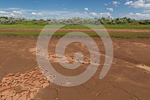 Mud along the edges of a drying water hole dried and cracks