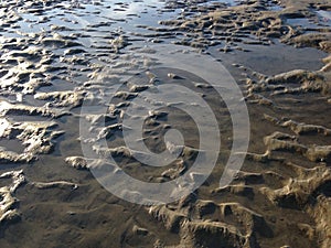 Mud on Bottom of Receded River. photo