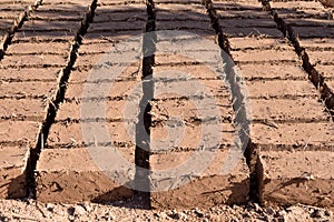 Mud bricks berber architecture of Morocco photo