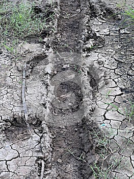 the mud is cracked on the ground