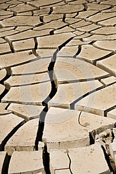 Mud Cracks