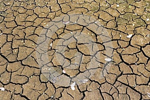 Mud cracks