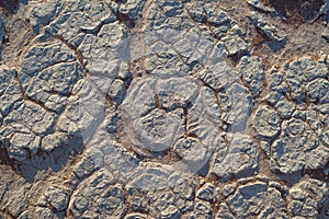 Mud cracks on clay soil with red sand.