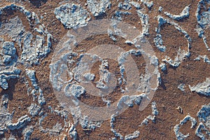 Mud cracks on clay soil with red sand.