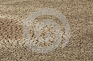 Mud cracks developed due to water scarcity