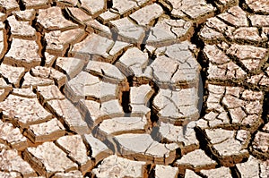 Mud Cracks