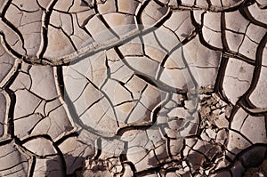 Mud Cracks, Dry Earth