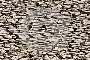 Mud cracks in grey colored mud flats