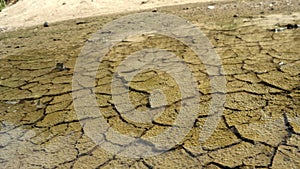 Mud cracks and small bubbles