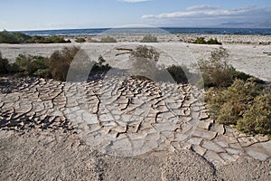 Mud cracks near the Salton Sea