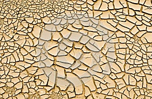 Mud Cracks Texture