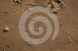 Mud with craters