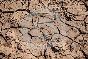 Mud dirt texture. Dry cracked earth.