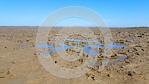 Mud flat by low tide Ebbe