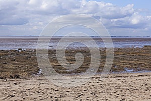Mud flats at low tide, Spurn Point Nature Reserve