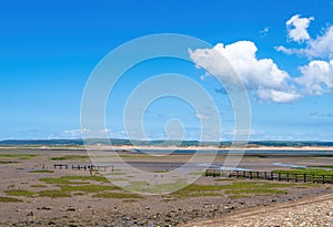 Mud flats and Salt marshes at Low Tide at Northam Burrows, North Devon, England.