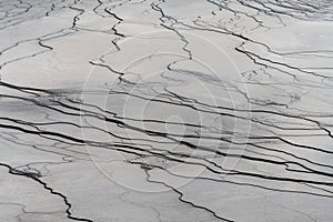 Mud Formations around the Grand Prismatic Spring