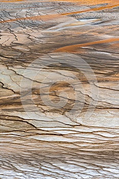 Mud Formations around the Grand Prismatic Spring