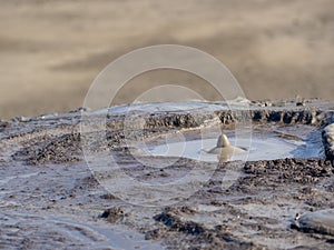 Mud and gas eruptions in vulcanii noriosi reserve, romania, near berca buzau county