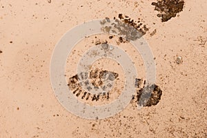 Mud ground with human footprints