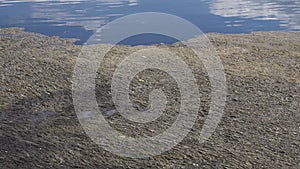 Mud that had gathered on the surface of the water