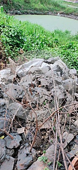 The mud hill .the creat of nature.. background some trees and pond