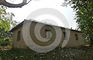 The mud house is quite beautiful in green nature