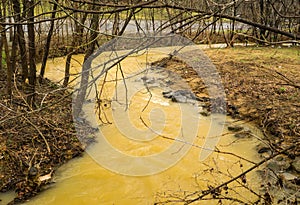 Mud Lick Creek at Flood Stage