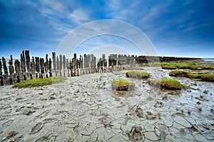 Mud at low tide on Waddensee, Moddergat