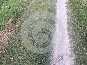 Mud pathway between field - Stock Image