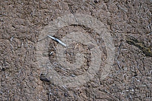 Mud plaster wall closeup