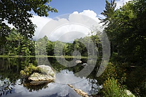 Mud Pond on a summer day in Sunapee, New Hampshire